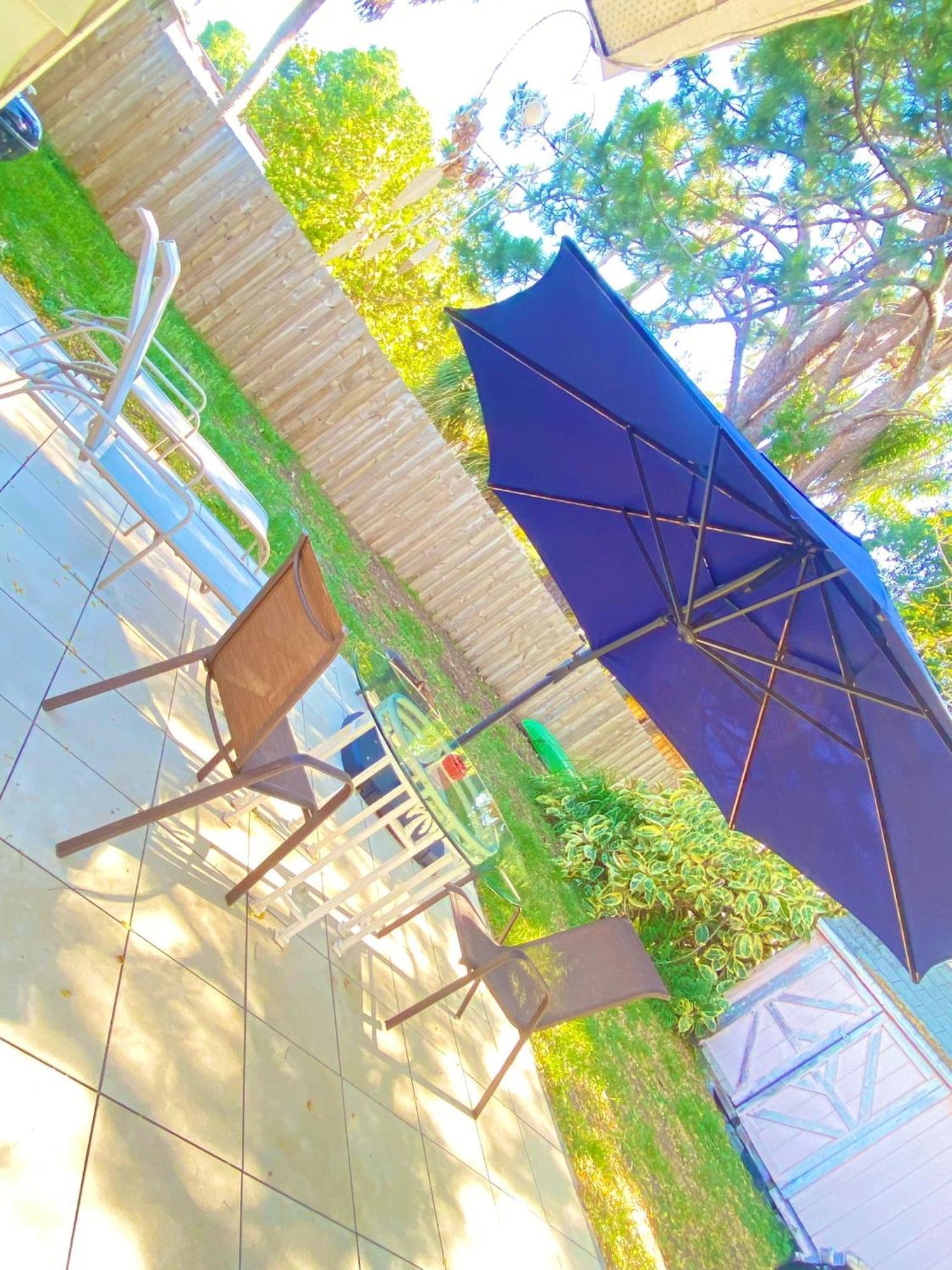 Cozy Studio Only 10 Minutes By Car Of Siesta Key ซาราโซตา ภายนอก รูปภาพ